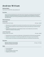 Accountant Resume Template