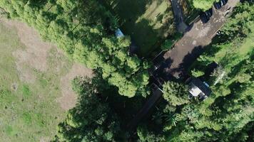 Aerial footage of a scenic road surrounded by towering pine trees and large trees, captured by a drone, showcasing a serene natural landscape from above video