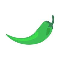 Red Spice Chili Pepper Pod vector