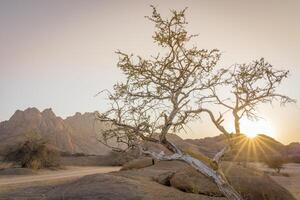 The Pondoks near the Spitzkoppe mountain in Namibia in Africa. photo