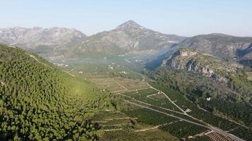 Camera pans over a mountain valley, revealing a farm with neatly arranged crops growing in rows under a clear sky video