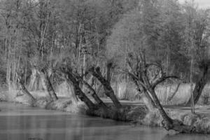 Black and white photograph of a river with trees in the background photo