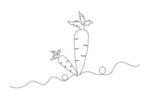 Carrot continuous one line drawing of isolated flat design vector