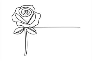 Continuous one line rose flower drawing of outline single line drawing vector