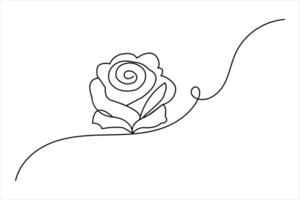 Continuous one line rose flower drawing of outline anniversary vector