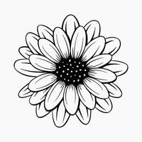 Flower with Petals and Dotted Center in Black and White vector