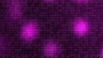 Digital Binary Code Background Pink video