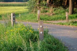 A path with wooden posts and a fence photo