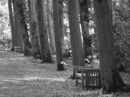 A black and white photo of a bench in a forest