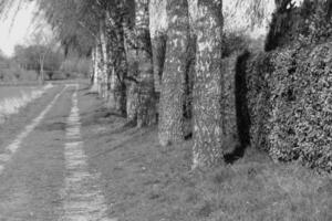 A black and white photo of a path next to a river