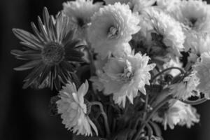 A black and white photo of a vase with flowers