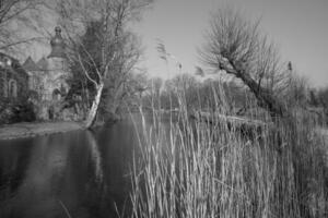 A black and white photo of a river and trees