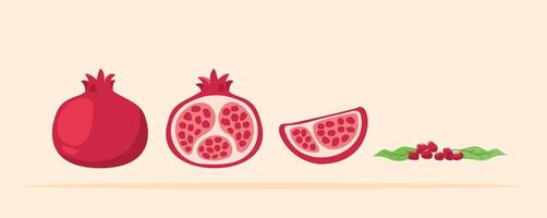 Fresh pomegranate in various shapes, antioxidant fruit, suitable for posters and web icons vector