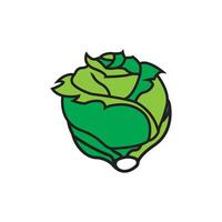 A green cabbage with a leaf on it vector