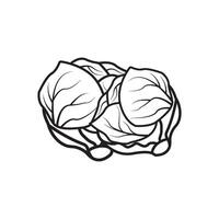 A black and white drawing of a bowl of cabbage vector