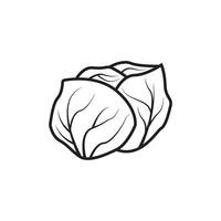 A black and white drawing of a cabbage vector
