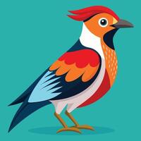 a colorful bird with a red, blue and white head vector