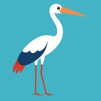a white stork with a red beak and orange legs vector