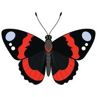 A black and red butterfly with black and red wings vector