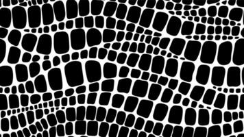 Crocodile, dinosaur and snake animal skin pattern vector