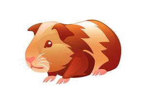 Guinea pig illustration, realistic in 3D style. vector