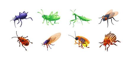 Set of insect illustrations, ground beetle, grasshopper, praying mantis, fly, red bug, cicada, cricket, Colorado potato beetle, realistic in 3D style. vector