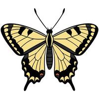 A butterfly with black and yellow wings vector