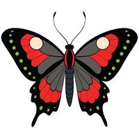 A red and black butterfly with black spots vector