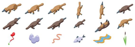 Duck-billed platypus icons set. Platypus poses and habitat icons vector