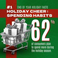 End Of Year Holiday Facts Infographic Post for Linkedin template