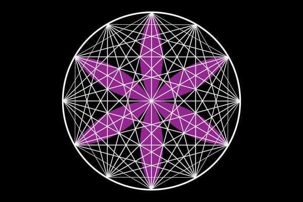 Seal of sacred geometry, Flower of life, purple lotus flower. mandala ornament Seed of Life icon, esoteric or spiritual symbol. Logo line art design isolated on black background, illustration