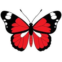 A red and black butterfly with white wings vector