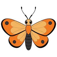 An orange butterfly with black spots on its wings vector