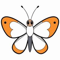 An orange and white butterfly with black spots vector