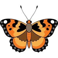 An orange butterfly with black and white markings vector