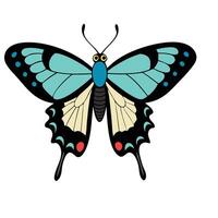 A butterfly with black and blue wings vector