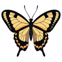 A butterfly with black and yellow wings vector