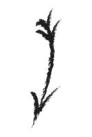 Charcoal down arrow with feathers. Hand drawn arrow. vector