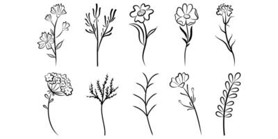 Hand drawn flower and branches doodle set vector