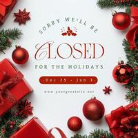 Holiday Announcement with Christmas Ornaments for Linkedin Post template