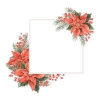 Poinsettia, Christmas red flower, fir branches and red berries. Watercolor botanical square elegant frame on isolated background. Drawing for Christmas and New Year holidays, invitations, cards. vector