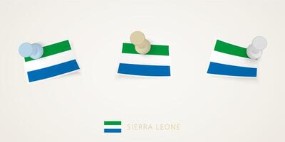 Pinned flag of Sierra Leone in different shapes with twisted corners. pushpins top view. vector