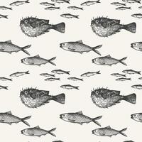 engraved seamless pattern with Fugu fish, Anchovy, fingerling, carp, sardine. Hand drawn repeating background with sea animals. Seafood, delicacy, marine life, animals. For textile, paper vector