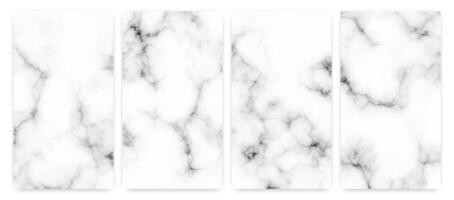 White marble texture background vector