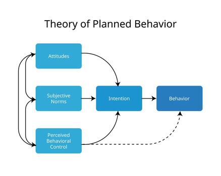 Theory of planned behavior from attitude to behavior vector
