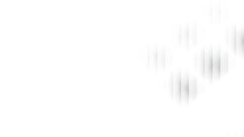 Abstract white and gray color, modern design stripes background with straight lines. illustration. vector