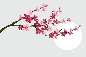 Cherry blossom branch with sakura flower vector