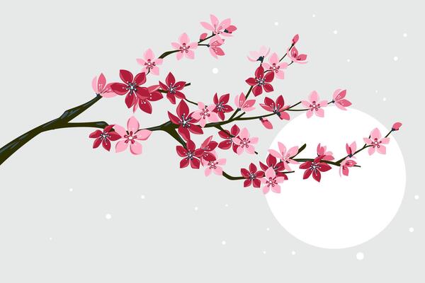 Cherry blossom branch with sakura flower