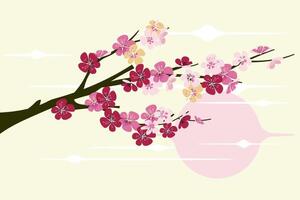 Sakura branch in springtime with falling petals and cherry blosssom vector
