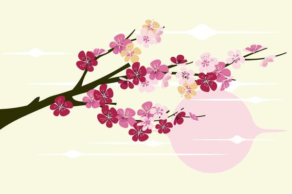 Sakura branch in springtime with falling petals and cherry blosssom
